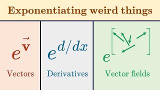 Can we exponentiate d/dx? Vector (fields)? What is exp? | Lie groups, algebras, brackets #4