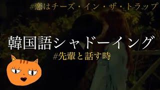 【韓国語シャドーイング】先輩と話す時 #恋はチーズ・イン・ザ・トラップ#パクヘジン#キムゴウン