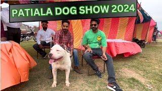 BIGGEST DOG SHOW IN INDIA 2024 | PATIALA DOG SHOW IN PUNJAB