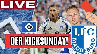 HSV 3:1 Magdeburg! Ohne DRAMA geht es nicht! | 2.Liga | HSV Realtalk | Der KICKSUNDAY!