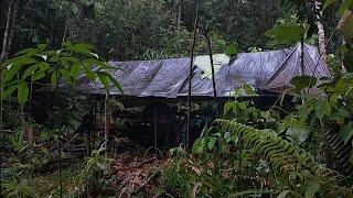 berkemah sambil berpetualang mencari ikan di hutan ,  7 hari 7 malam camping di hutan kalimantan