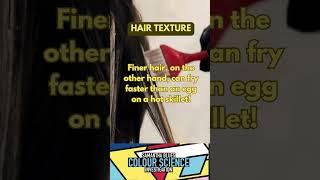 CSI Hair Texture