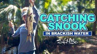 Catching Snook in Brackish Water | Salt Life