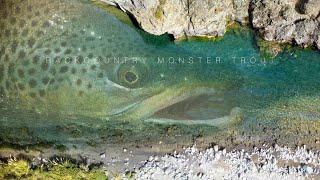 Backcountry Monster Trout 2 (New Zealand Episode 15)