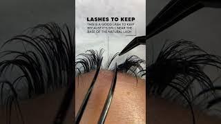 STEP BY STEP LASH FILL (BEGINNERS)