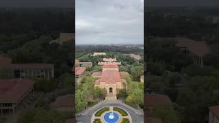 Stanford University Admit Weekend ️ #college #university #t20 #dreamschool #stanford