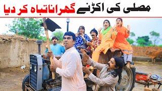 #comedy  Ramzi Bilo, Koki, Jatti, , Bhootna,Shoki, Sanam, Sundari,  Funny Video  Rachnavi Tv