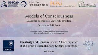 Tim Palmer - Creativity & Consciousness: A Consequence of the Brain’s... Energy Efficiency?