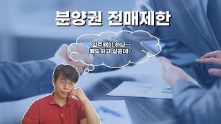 분양권 전매제한