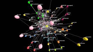 Netsci 2015 Twitter co-mentions