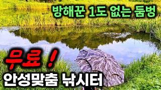 굶주린 붕어가 모여있는곳 경기도 여주 무료 낚시터, 미친 입질에 파김치 된 붕어 무료낚시터 후기 #현지인 #fishing #무료낚시터