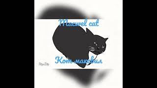 maxvell cat/кот максвил