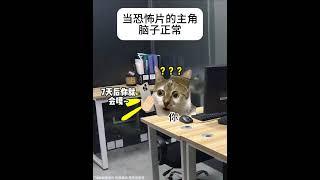 当恐怖片的主角脑子正常 #猫meme #猫meme小剧场 #恐怖片 #搞笑 #剧情  #猫meme #cat #人類迷惑行為  #meme #搞笑 #喵哥是萌新  #恐怖片 #主角