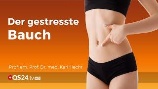 Der gestresste und stressende Bauch | Prof. em. Prof. Dr. med. Karl Hecht | NaturMEDIZIN | QS24