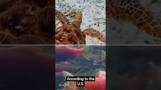 science facts / Evolution / Ecology / DNA / Ecosystems / Geology / Neuroscience / Magnetism / Cells