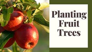 Planning For And Planting Fruit Trees