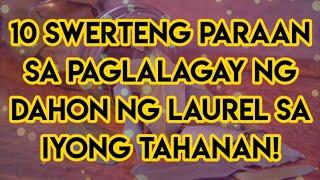 10 SWERTENG PARAAN PARA ITAGO ANG  DAHON NG LAUREL