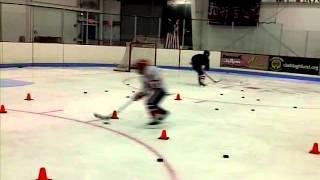 hockeydevelopment101