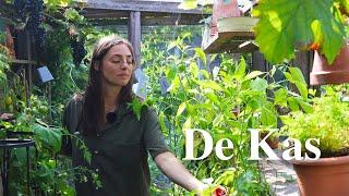 Hoe belangrijk is een kas in de moestuin? | Floors Moestuin - Floor Korte