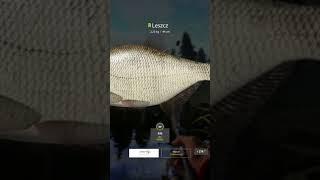 Old Burg Lake Bream Brasse Leszcz  Russian Fishing 4 #shorts