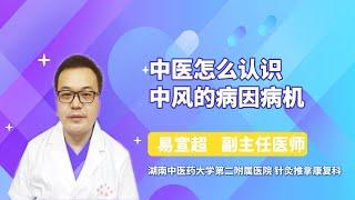 中医怎么认识中风的病因病机 易宣超 湖南中医药大学第二附属医院（湖南省中医院）