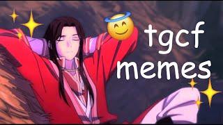 tgcf memes donghua special