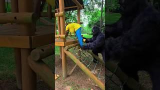 O SUSTO KONG#comedy#funnymoments #funny #halloween #gorilla #funnyvideo #alone