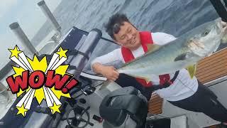 왕돌초 산란철 부시리 를 찾아서/라온다650/Korea ultimate boat fishing