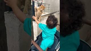 القطة وكفاح قصه عشق لاتنتهي #مارية #كفاح