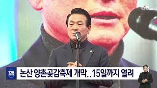 논산 양촌곶감축제 개막..15일까지 열려｜ TJB 대전·세종·충남뉴스