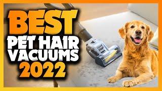 What's The Best Vacuum For Pet Hair (2022)? The Definitive Guide!