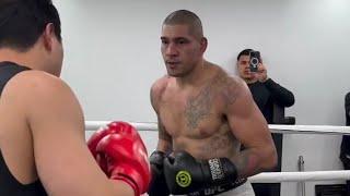 ALEX PEREIRA HARD SPARRING A PRO BOXER IN KOREA