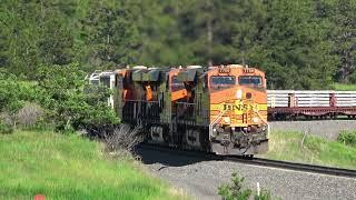 BNSF freight train climbing the grade Palmer Lake, Colorado