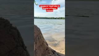 Lake Lippajarvi #finland #everyone #highlights #barf #barfwala #lake #ice #snow #subscribers
