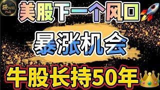 美股投资｜重大机会!AI人工智能后下一个暴涨股.买AMD不如买它.长持50年的牛股｜美股趋势分析｜美股期权交易｜美股赚钱｜美股2024