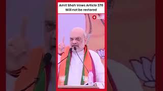 " We will not let Article 370 be back," Amit Shah On Resolution on Article 370 I Maharashtra Polls