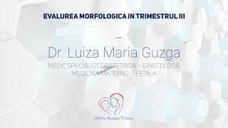 Evaluarea morfologică în trimestrul III I Dr. Luiza Guzgă I Femmeboutiquemedical.com