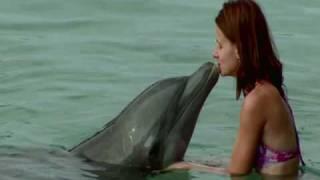 The_Cove_NFF_09.mov