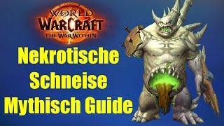 Die Nekrotische Schneise Mythisch Guide | WoW The War Within Saison 1