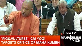 Maha Kumbh 2025 | "Pigs, Vultures": Yogi Adityanath Targets Critics Of Maha Kumbh