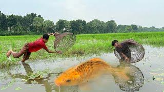 Omg!! Unique Fishing Idea || Traditional Cast Fish With Bamboo Tools Polo Easy Fishing Method