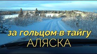 За гольцом на таёжные озера, в -20С.