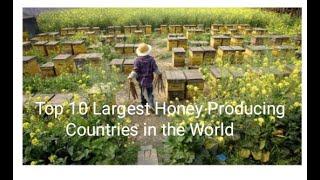 Top 10 Largest Honey Producing Countries in the World#shorts#youtube