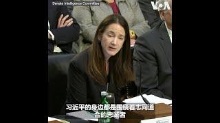 美国情报总监：评估习近平第三任内将加大对台压力 制造美国与盟友间的隔阂