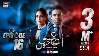 Aye Ishq e Junoon Episode 16 | Ushna Shah | Sheheryar Munawar | 31 Dec 2024 | ARY Digital