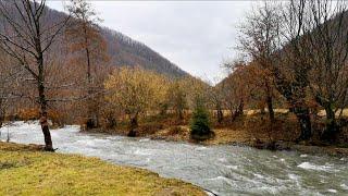 مناظر طبيعية خلابة وأصوات الطبيعة للتامل والاسترخاء العميق | Relaxing Nature Sounds & Scenic Views