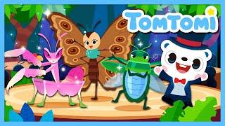 The Spectacular Insects Song | The Queen Trio of the Insect World | Actual images | TOMTOMI