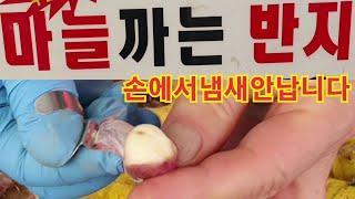 마늘 .양파 .쪽파까도 .손에서 냄새 안납니다