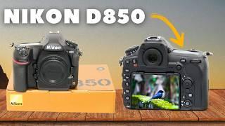 BEST Value Nikon Camera for Wildlife Photography? - Nikon D850 Review