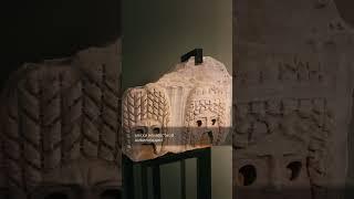 Маски неизвестной цивилизации  #артефакты #древниеруины #history  #лаи #мистика #древнийрим #кино